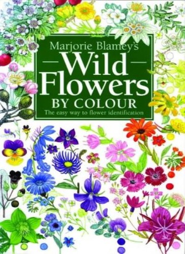 Wild flowers colour the - flowers, by