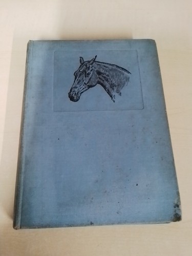 Horse warrior lord - warrior, by