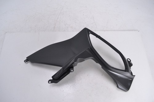 Right side fairing bmw - right,