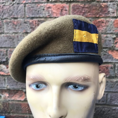 British army surplus pwrr - army,