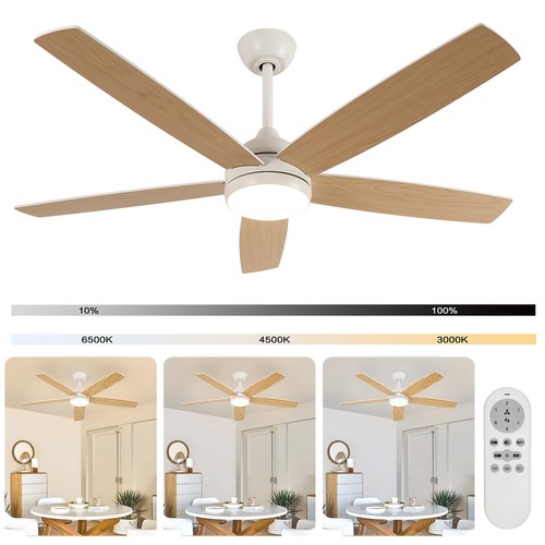 Led ceiling fan with - fan, and