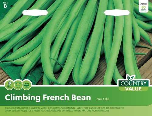 Climbing french bean - blue, lake