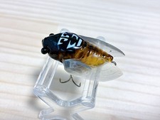 Megabass Pagani Siglett