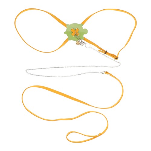 Outdoor reptile harness - reptile, set