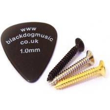 Guitar Project Screws in