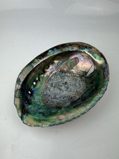 Large Natural Abalone Shell