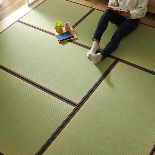 Ikehiko japanese rush grass - japanese,