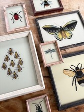 Insect Reverse Glass Paintings