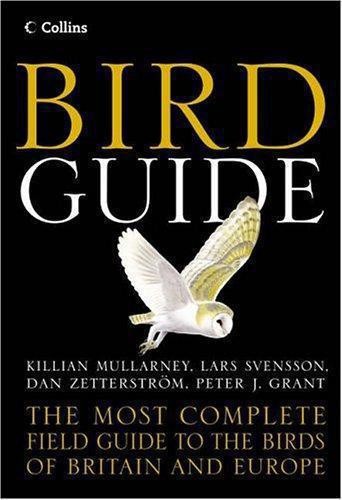 Collins bird guide the - bird,
