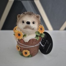 Cute Hedgehog In Bucket Withe