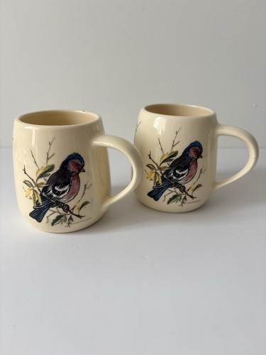 Pair brixham pottery - pottery, bird