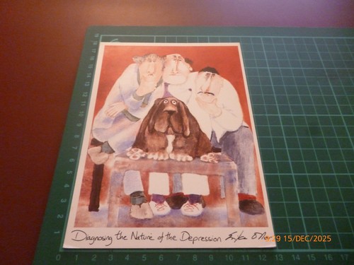 Erika oller diagnosing nature - oller,