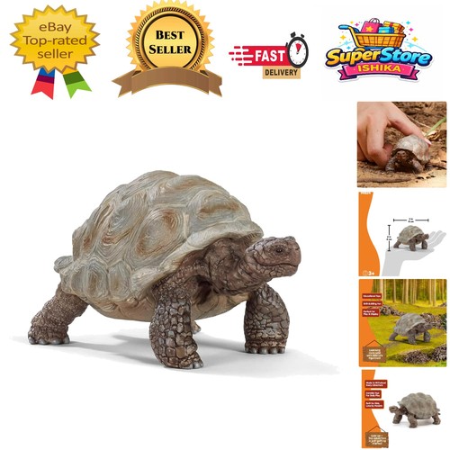 Realistic giant tortoise - giant,