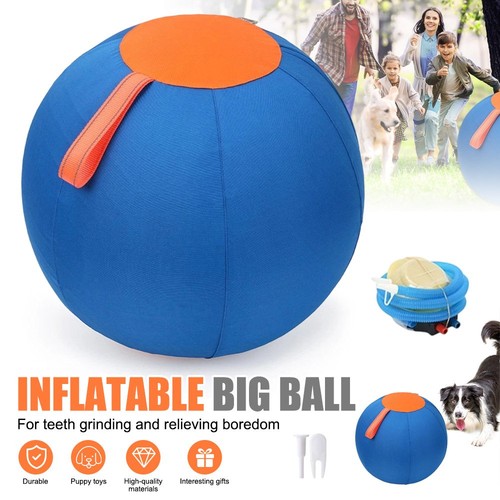 Herding ball for dogs horse - ball,