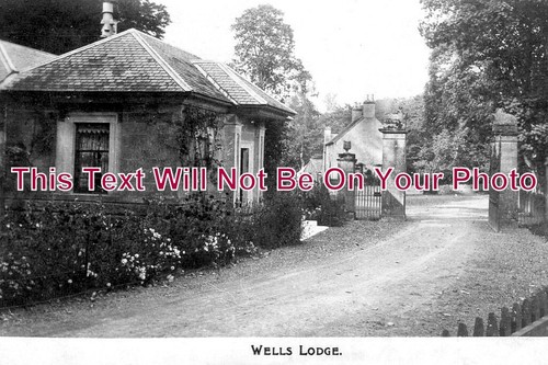 4099 wells lodge - 4099,