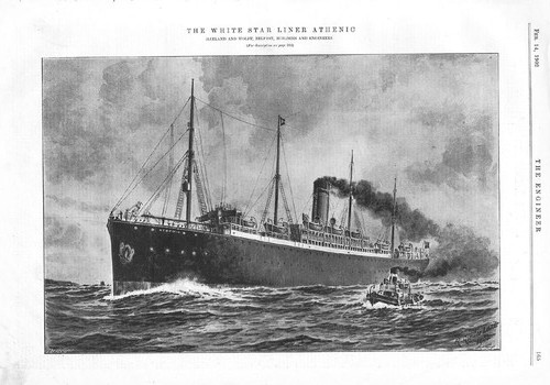 Athenic white star - ss,