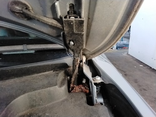 Bonnet hinge audi mk1 - audi,