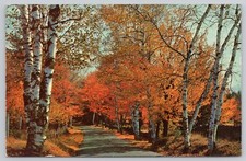 Post Card Greetings from