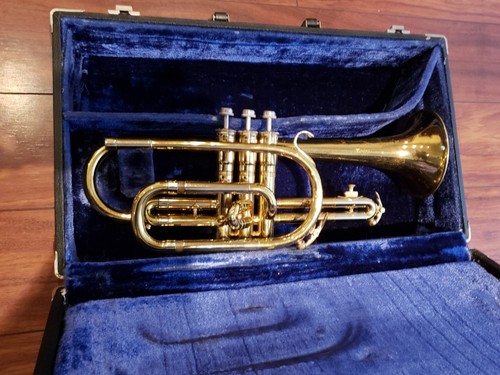 King cleveland cornet nice - king, "cleveland"