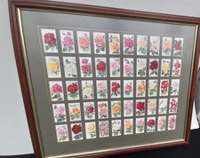 Framed Wills’s Cigarette Cards “Garden Flowers”