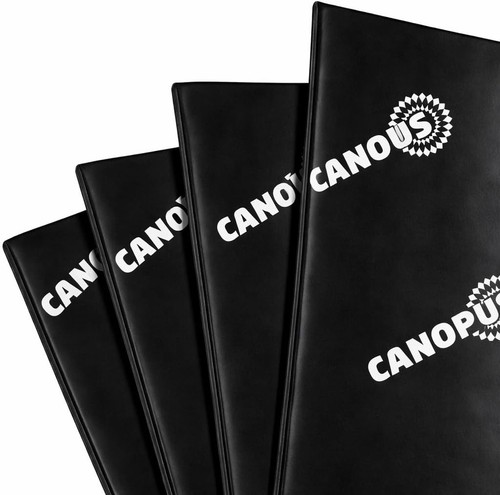 Canopus professional car sound - canopus,