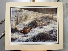 Steven Townsend - Pheasants -