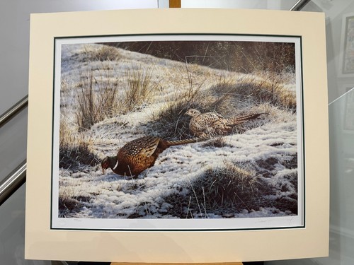 Steven townsend pheasants - -,