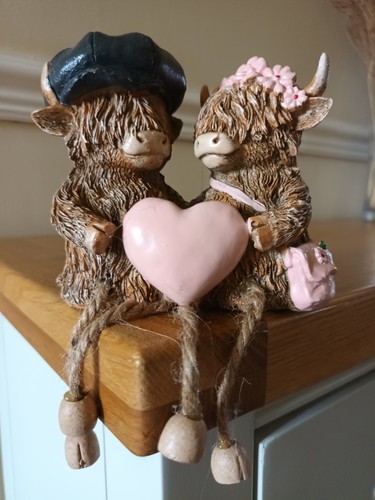 Pair highland cows shelf - cows,