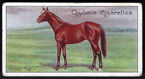 Ogdens racehorses 19 - -,