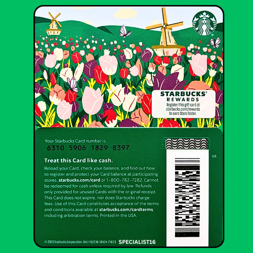2024 starbucks holland tulips - starbucks,