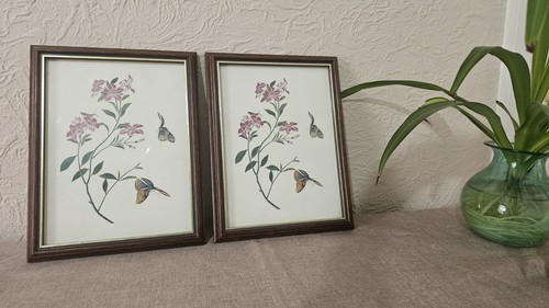 Vintage rhs butterflies - rhs, floral