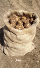 9 x Large Hessian 50cm x 80cm