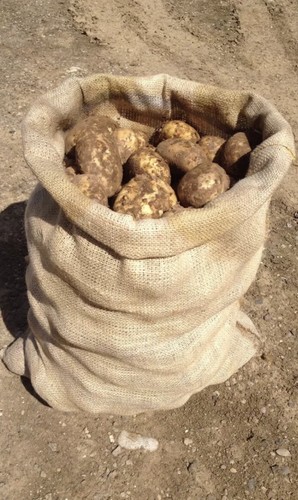Large hessian 50cm - x,