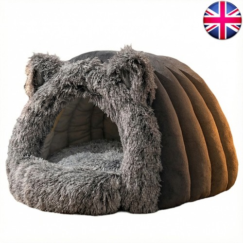 Winter warm pet - winter, plush