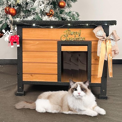 Wooden cat house - wooden,