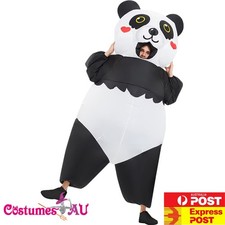 Kids Inflatable Kung Fu Panda