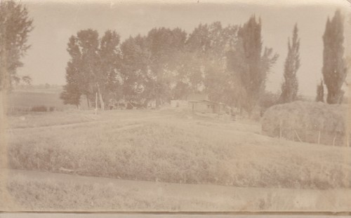 Postcard rppc old homestead - postcard,