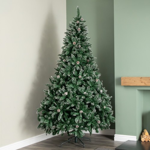 8ft rocky mountain pine - mountain,