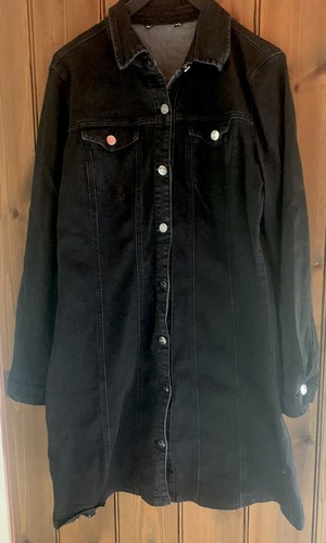 Lipsy shirt dress