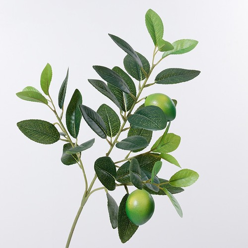 Artificial lemon tree - tree, branch