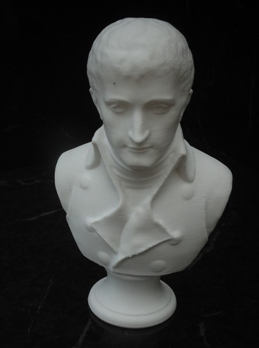 Printed bust napoleon - of,
