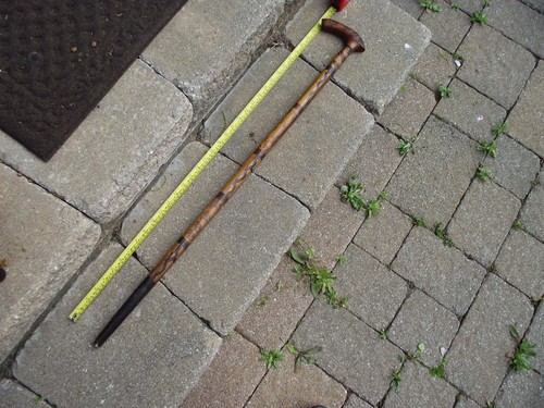 Help identify an unusual - help,