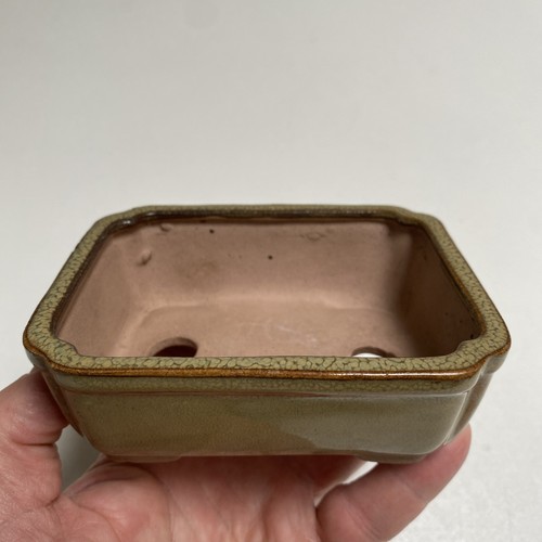 Shohin bonsai pot 12x9 - bonsai, 12x9.5cm