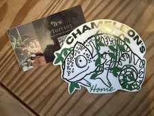 Personalised Panther Chameleon