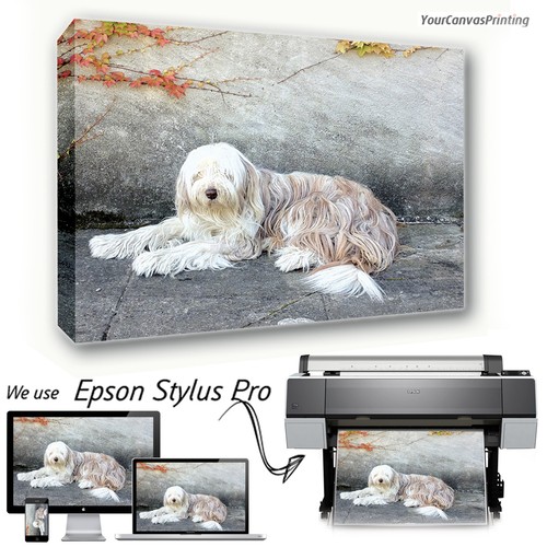 X 30 canvas prints - -,