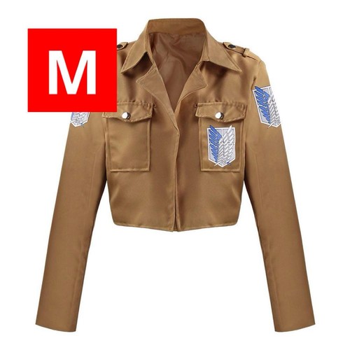 Attack titan cosplay survey - attack,