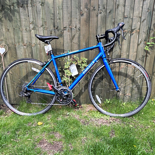 Pinnacle dolomite women road - women's,