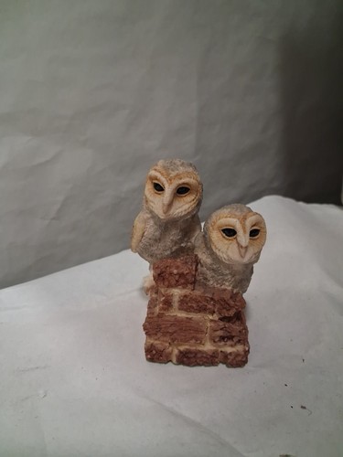 Barn owl chicks - "barn, by