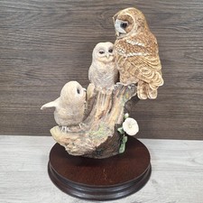 Border Fine Arts Tawny Owl
