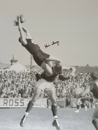 Massive kevin murray signed - murray,